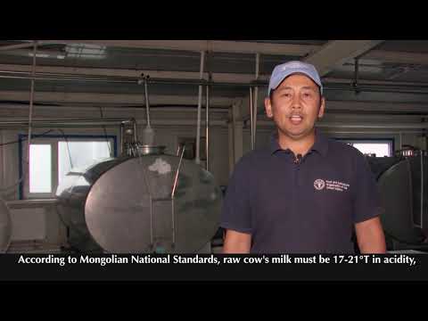 Видео: Сүүний үхрийн байр Suunii ukhriin bair Dairy housing and hygienic management in Mongolia