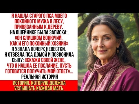 Видео: Я нашла пса мужа в лесу, умирающего. Жена моего сына оставила записку- «Следующая — ты…»