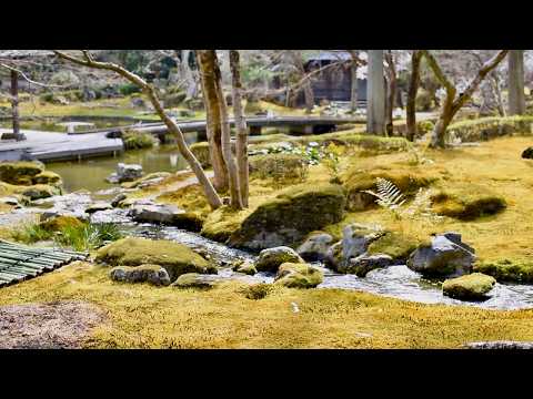 Видео: 18 японских садов Киото и Сига | Ранняя весна: дзэн-камни, чай и мох