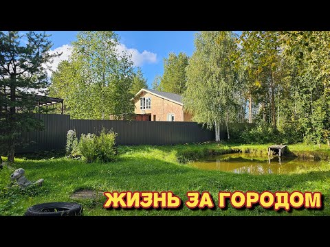 Видео: Зачем я это делаю/утепление крыши/вся в готовке/купили новый инструмент.