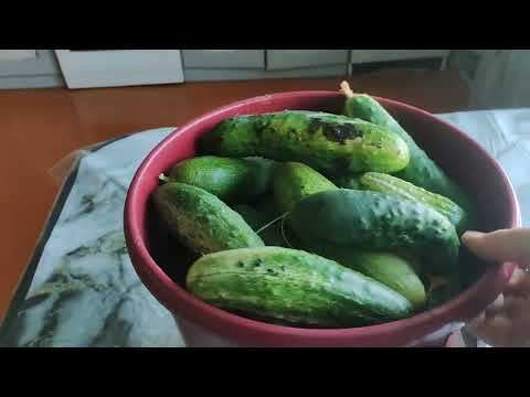 Видео: Простые радости деревни.Лето,лето,пора забот.