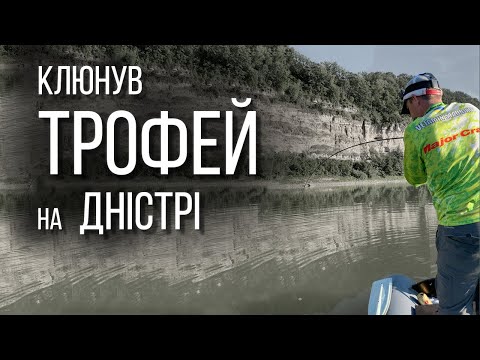 Видео: Клюнув трофей на Дністрі. Судак щука окунь жерех короп сом