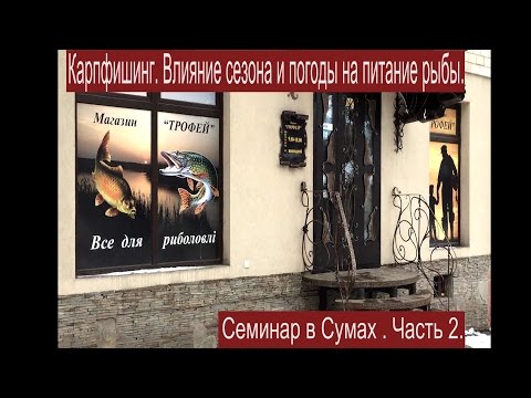 Видео: Семинар в Сумах. Часть 2. Влияние погоды и сезонности на клёв рыбы.