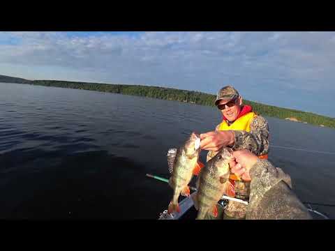 Видео: Рыбалка на Чебоксарском водохранилище. Бешеные ОКУНИ. Волга, Шомиково.