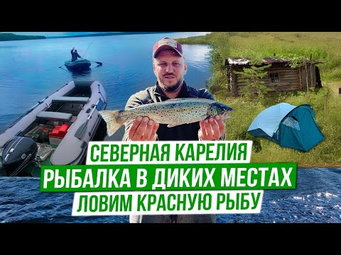 Видео: В этом озере ОГРОМНАЯ РЫБА! Вот это рыбалка! Трофейная кумжа, окунь, щука! 4k