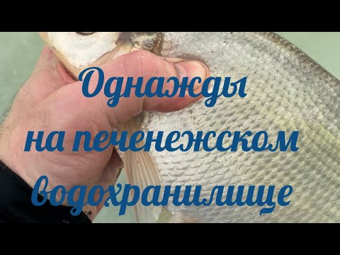 Видео: Ловля подлещика в феврале, на печенежском водохранилище в районе Кулаковки)
