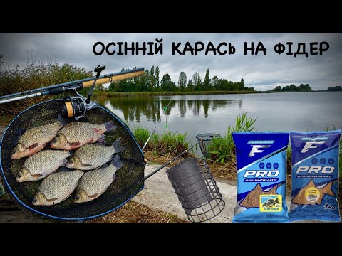 Видео: ОСІННІЙ ФІДЕР|ЛОВИТЬСЯ КАРАСЬ І ПЛОТВА