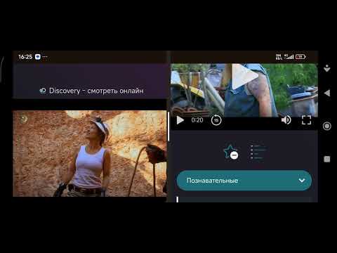 Видео: 2 октября 2025 г.