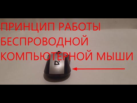 Видео: принцип работы беспроводной компьютерной мыши.