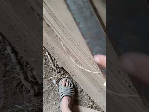 Видео: 26 октября 2025 г.