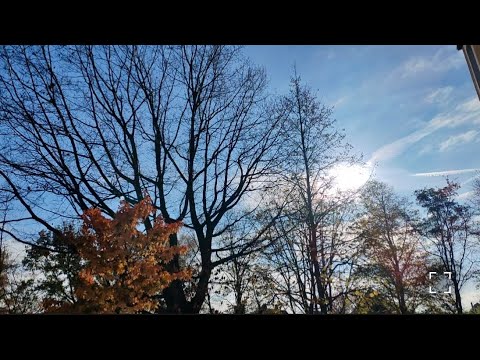 Видео: Игорь молодец 👍, покушать мы любим 🥗, повеселились от души 🤣, тестируем игру🤗