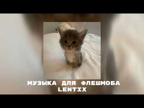 Видео: ✨музыка для флешмоба💗