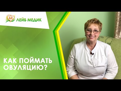 Видео: 🔎📅 Как поймать овуляцию?