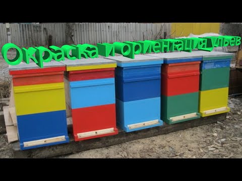 Видео: Профессор Кашковский про окраску и расположение ульев на пасеке