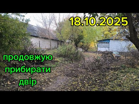 Видео: Другий день прибирання двору