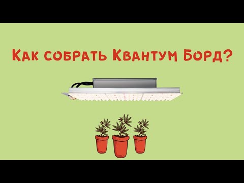 Видео: Как собрать квантум борд?