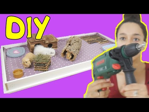 Видео: DIV Стеллаж для морских свинок - от А до Я