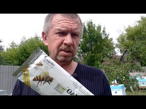 Видео: Ставлю китайские полоски от клеща.Просто ужас!Море клеща!