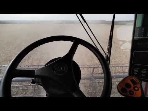 Видео: автопилот fj dynamics в комбайне case cf80.