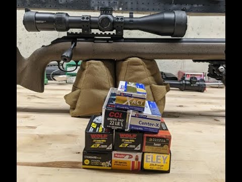 Видео: Обзор и сравнение боеприпасов Ruger American Rimfire Long-Range Target Timney Trigger. Часть 1