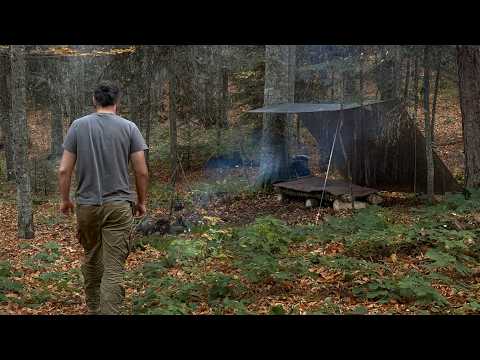 Видео: Solo Bushcraft Camping in Autumn / Осенний одиночный бушкрафт-кемпинг