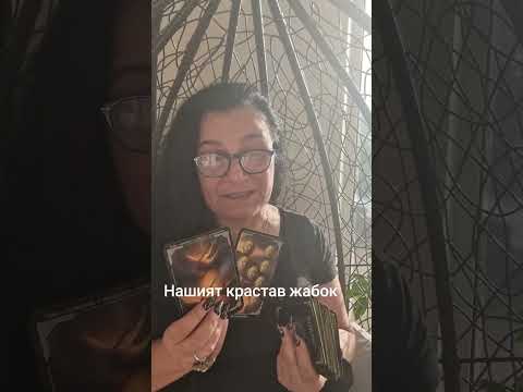 Видео: 12 септември 2025 г.