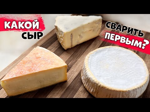 Видео: КАКОЙ СЫР СВАРИТЬ ПЕРВЫМ - разбор для начинающих сыроваров #сырдляначинающих