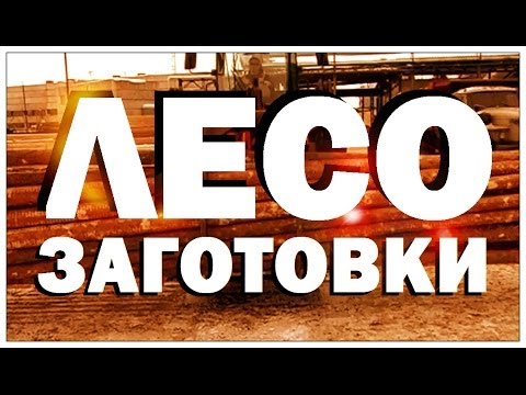 Видео: Галилео. Лесозаготовки