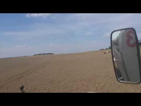 Видео: Обмолот пшениці сорту "Катарина" (еліта) 2021 р.