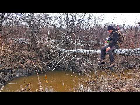Видео: В РУЧЬЕ ПО КОЛЕНО ПОПЛАВОК ПОТАЩИЛО В КУСТЫ!  ПЕРВЫЕ ПОКЛЁВКИ СЕЗОНА 2025!  ВЕСЕННЕЕ ОТКРЫТИЕ