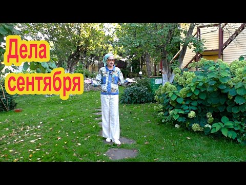 Видео: Важные дела сентября