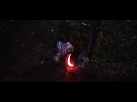 Видео: Харків Салтівка 29 жовтня 2025 року. ТРИВОЖНИЙ ВЕЧІР...🌃🐕🙏