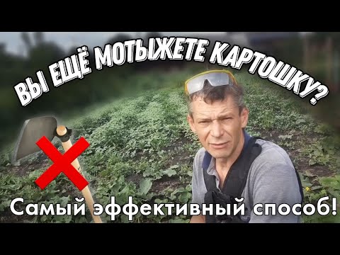 Видео: Прополка КАРТОШКИ Самый Простой и Быстрый Способ. Сотка за 10 минут.