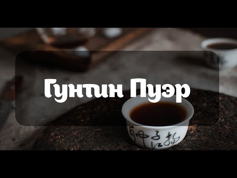 Видео: Гунтин или Дворцовый Пуэр. Как мы отбираем чай в каталог RealChinaTea