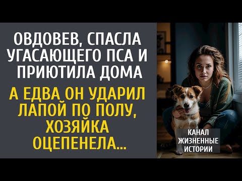 Видео: Овдовев, спасла угасающего пса и приютила дома… А едва он ударил лапой по полу…