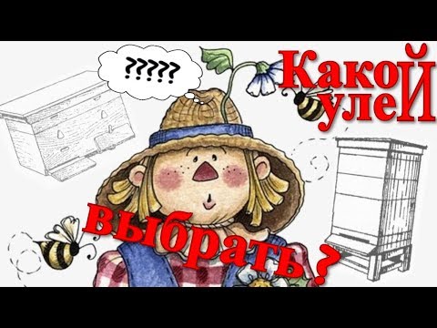 Видео: Какой улей выбрать начинающему пчеловоду / FABRO