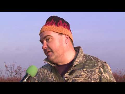 Видео: Лов  на фазани и яребици в село Добровница