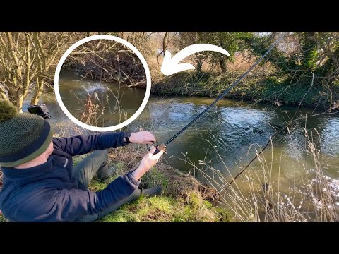 Видео: Ловля голавля в этой ПОТРЯСАЮЩЕЙ реке!