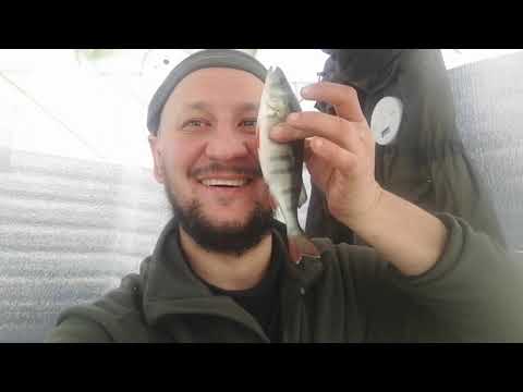 Видео: Зимняя рыбалка на Плещеевом (январь 2024)
