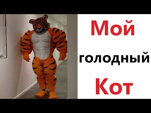 Видео: Приколы! 2 ЧАСА НОЧИ - МОЙ ГОЛОДНЫЙ КОТ! Смешное видео - Доми шоу!