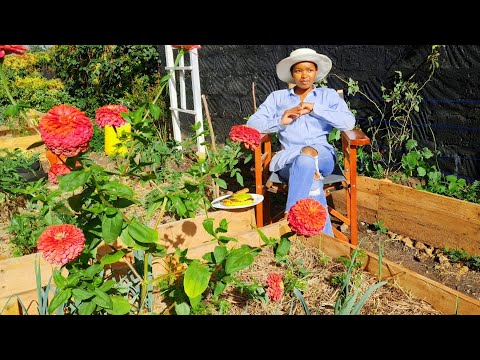 Видео: Я вышел из крысиных бегов. Я никогда не вернусь.