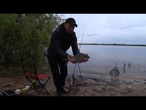 Видео: Ловля Ляща на Дніпрі в Києві. Оце так Результат🐠🐠🐠!!! Фідерна рибалка в Києві 2024.