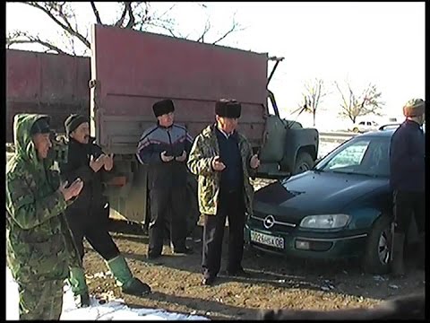 Видео: Көкпар Жылыбұлақ 2017 Алим