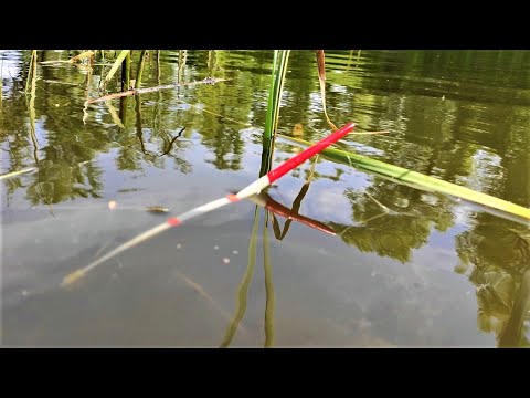 Видео: ПЕРЬЕВОЙ ПОПЛАВОК из пера гуся для рыбалки