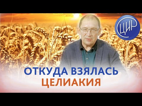 Видео: Целиакия и антропология. Откуда взялась целиакия. Почему не всем полезно есть хлеб.