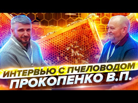 Видео: Прокопенко - пчеловодство это тяжёлая работа, но с пчёлами работать легче чем с людьми