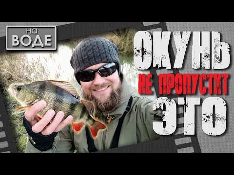 Видео: Инквизиция окуней. Отличная рыбалка в декабре. Зимний спиннинг.