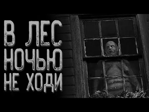 Видео: Вой - В ночном лесу | Страшные истории | Истории на ночь | Страшилки на ночь
