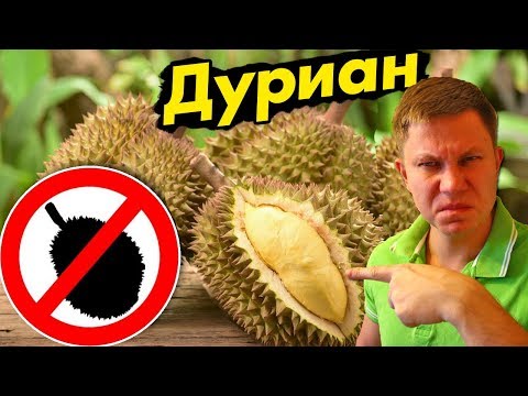 Видео: ТАИЛАНД - самый ВОНЮЧИЙ фрукт в Мире! РЕАКЦИЯ - пробуем ДУРИАН в Таиланде! ЭТО король фруктов?