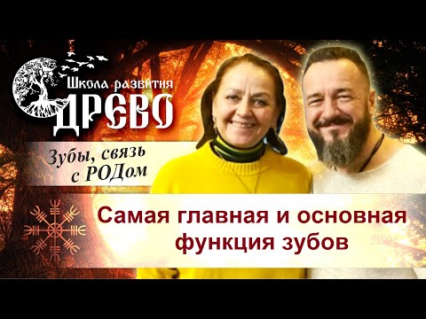 Видео: Самая главная и основная функция зубов